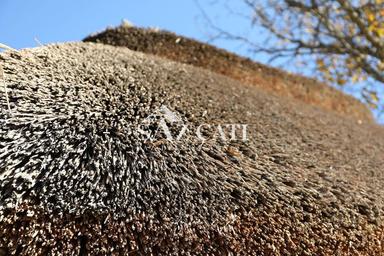 Kamış Çatı Kaplama